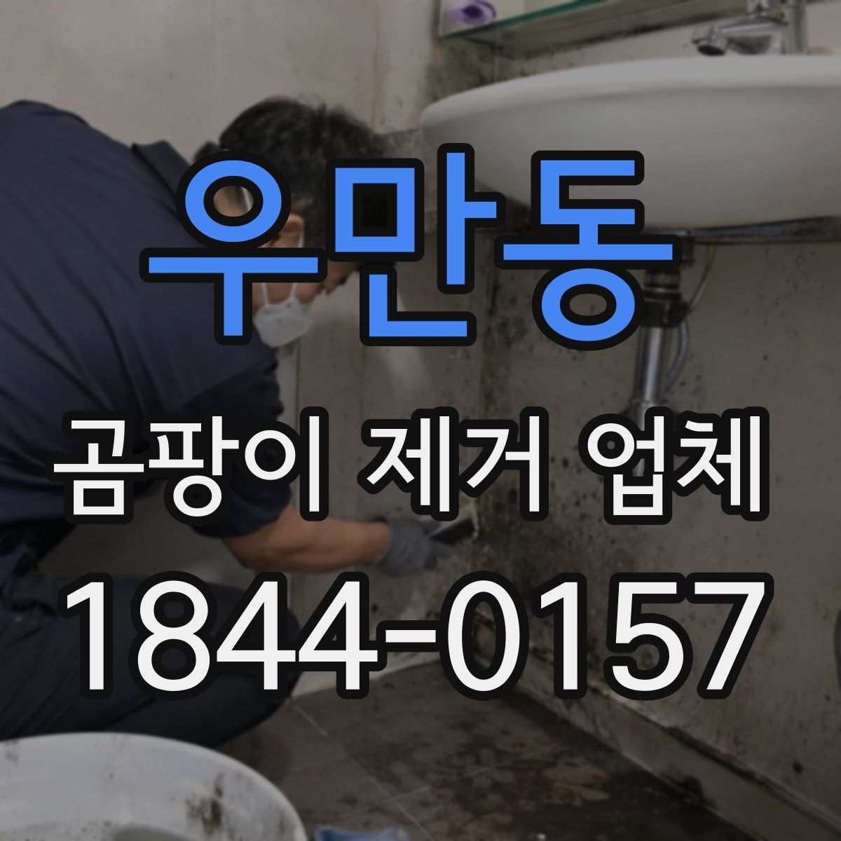 우만동 곰팡이 제거 업체