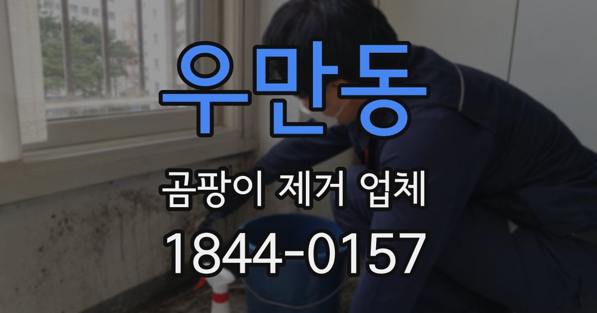 우만동 곰팡이 제거 업체