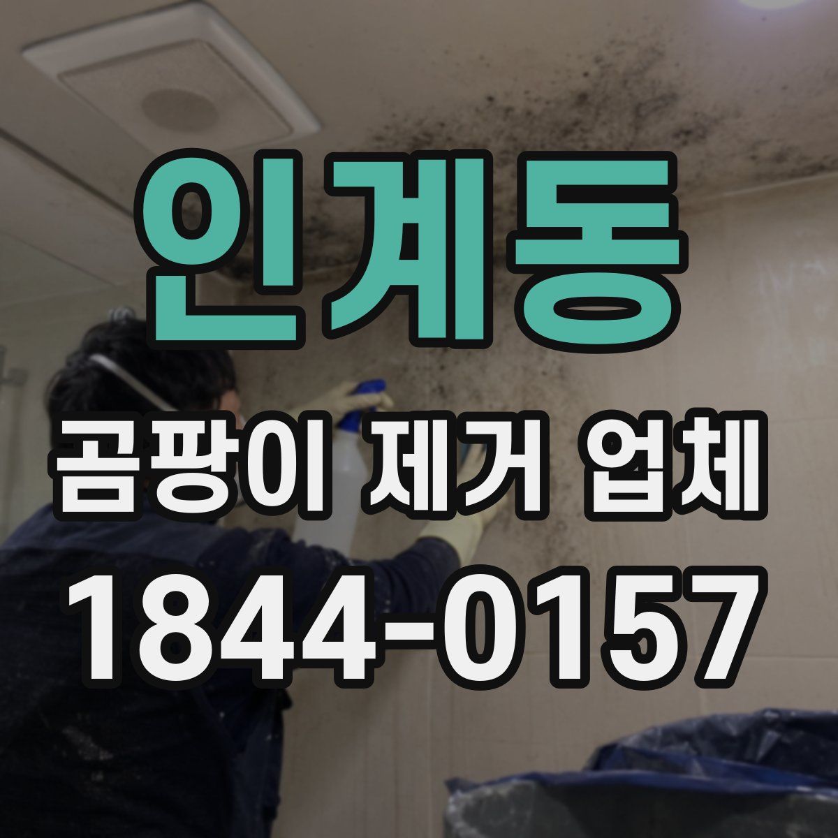 인계동 곰팡이 제거 업체