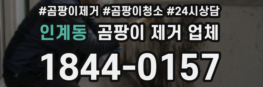 인계동 곰팡이 제거 업체