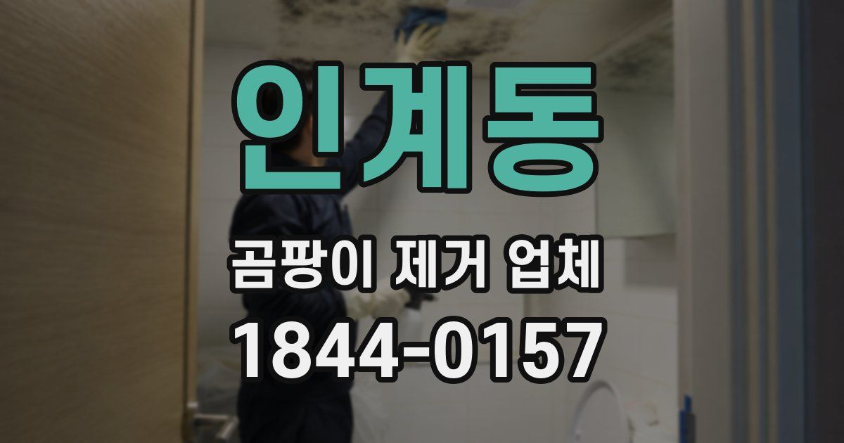 인계동 곰팡이 제거 업체