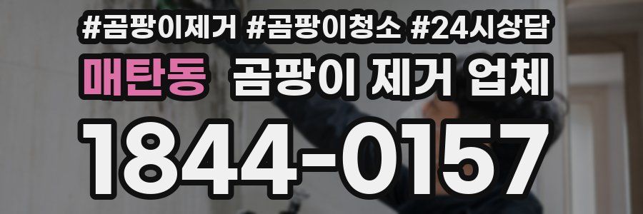 매탄동 곰팡이 제거 업체
