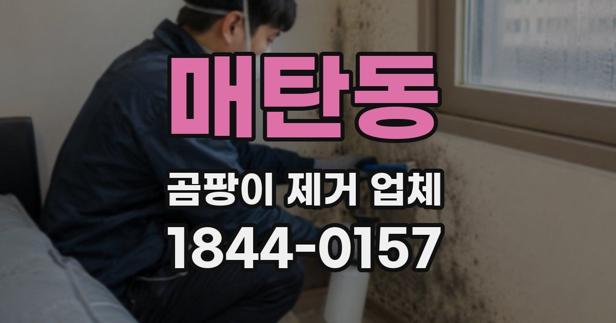 매탄동 곰팡이 제거 업체