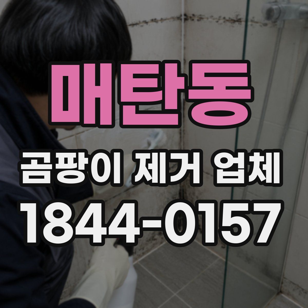 매탄동 곰팡이 제거 업체