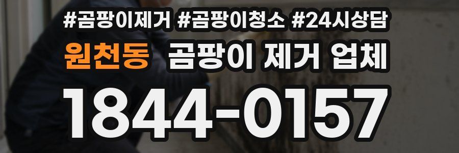원천동 곰팡이 제거 업체