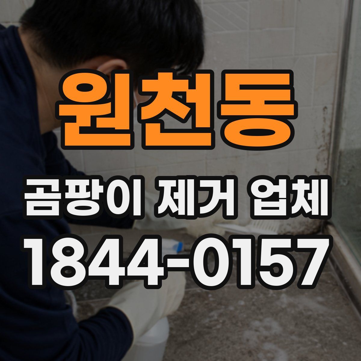 원천동 곰팡이 제거 업체