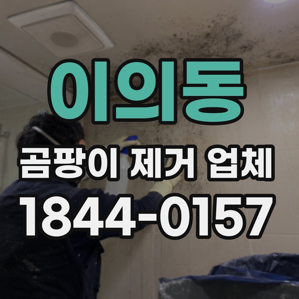 이의동 곰팡이 제거 업체