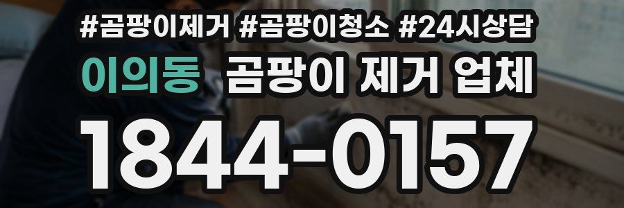 이의동 곰팡이 제거 업체