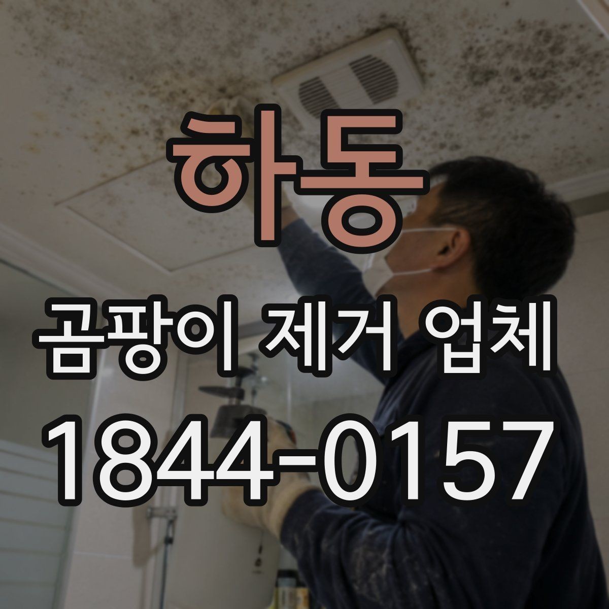 하동 곰팡이 제거 업체 반복 오염을 줄이기 위한 환경 점검 포인트