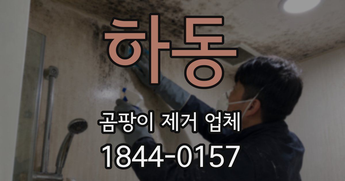 하동 곰팡이 제거 업체