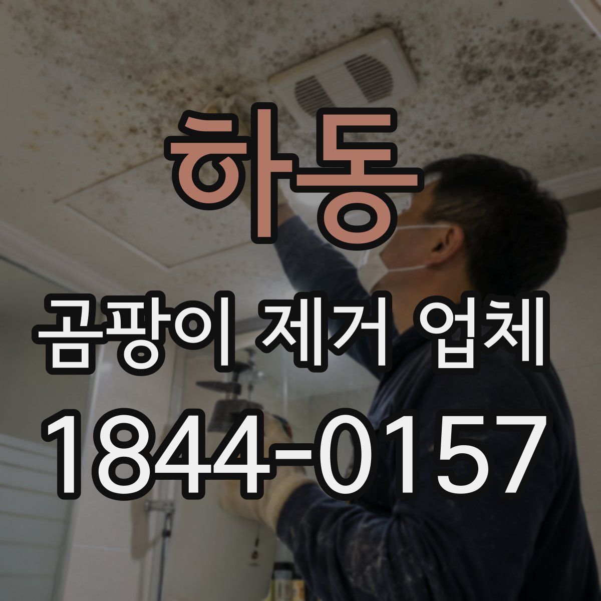 하동 곰팡이 제거 업체