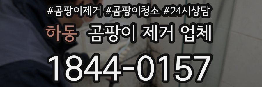 하동 곰팡이 제거 업체