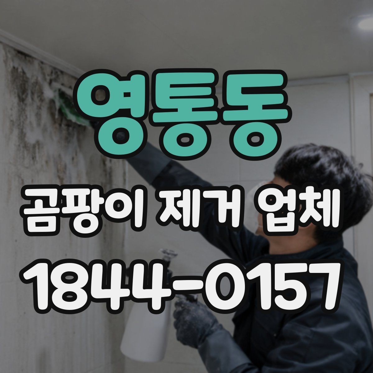 영통동 곰팡이 제거 업체 주택과 빌라, 상가에 따라 달라지는 대응