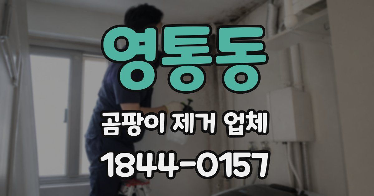 영통동 곰팡이 제거 업체