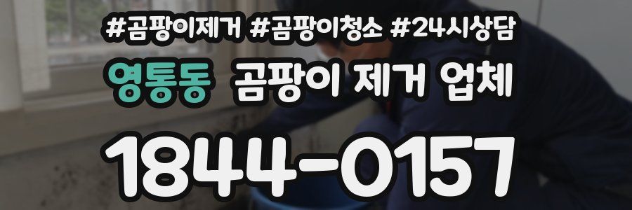 영통동 곰팡이 제거 업체