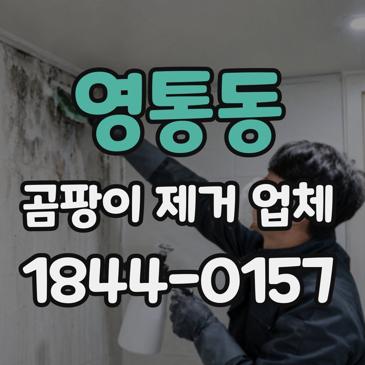 영통동 곰팡이 제거 업체