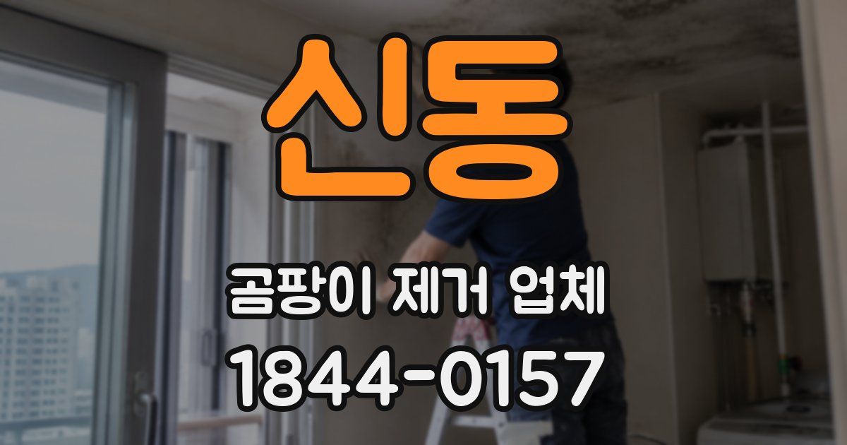 신동 곰팡이 제거 업체