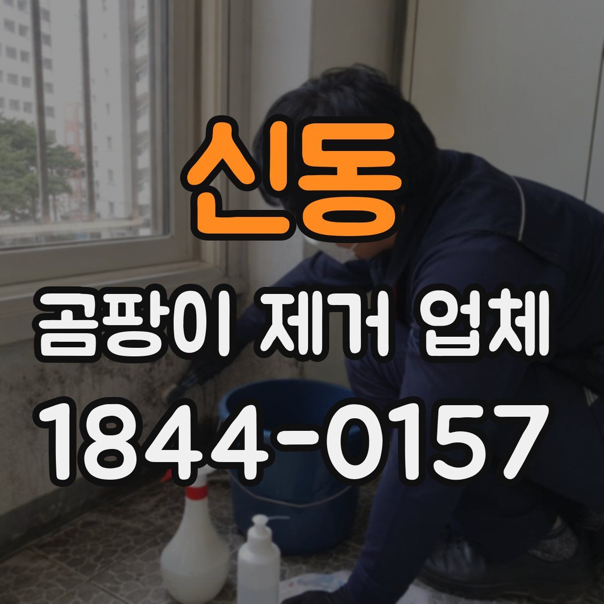 신동 곰팡이 제거 업체