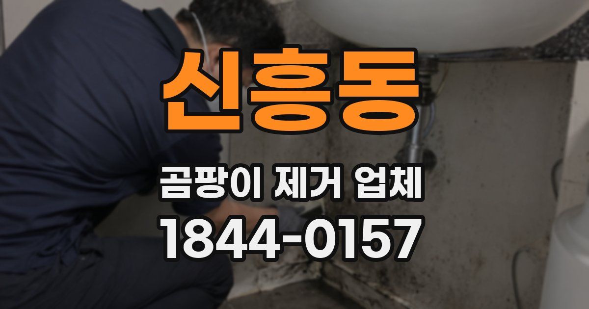 신흥동 곰팡이 제거 업체
