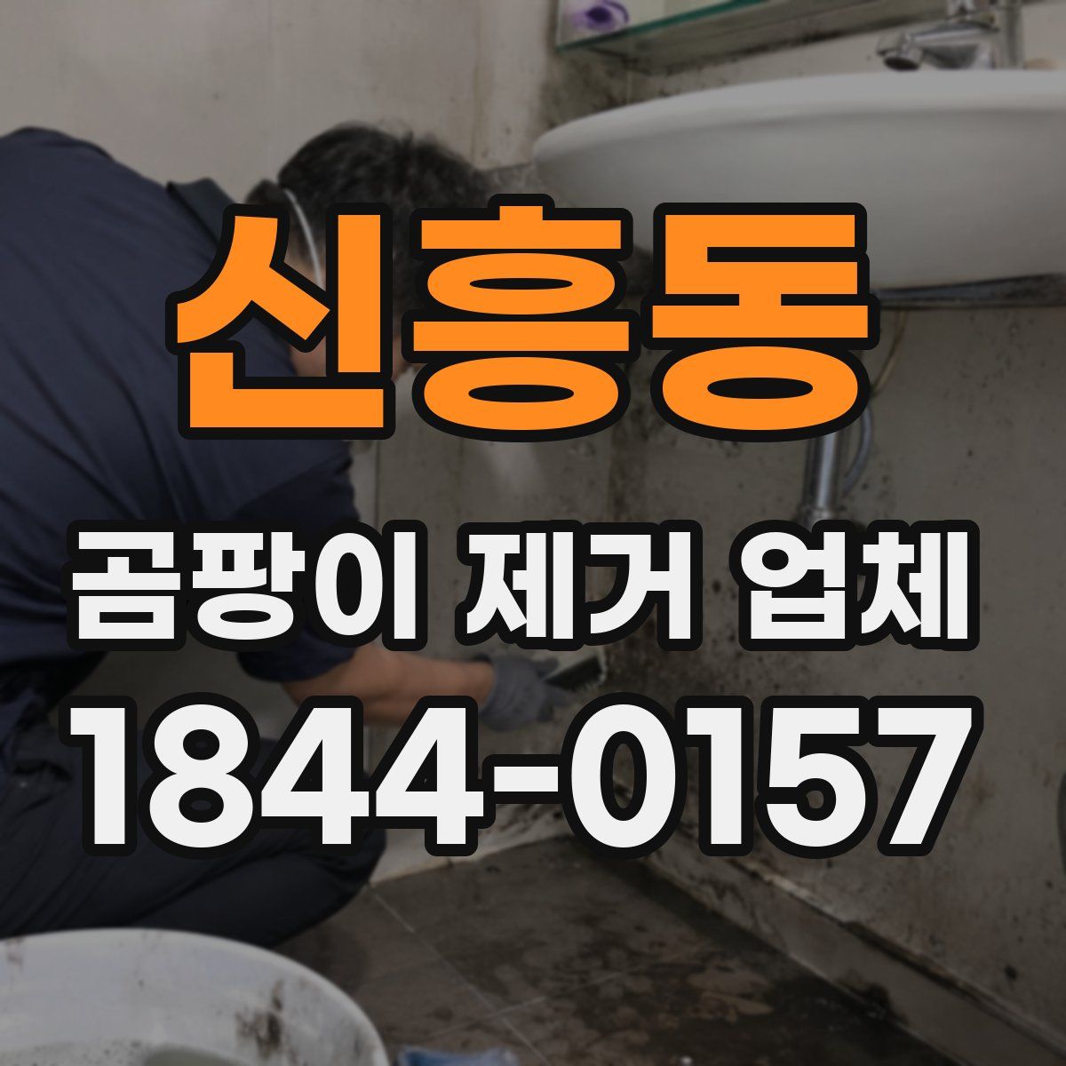 신흥동 곰팡이 제거 업체