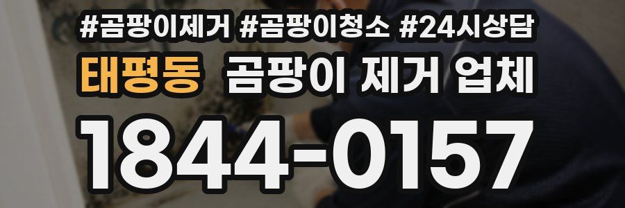 태평동 곰팡이 제거 업체