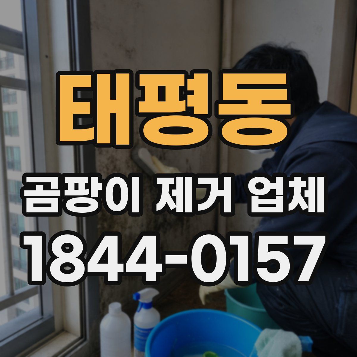 태평동 곰팡이 제거 업체