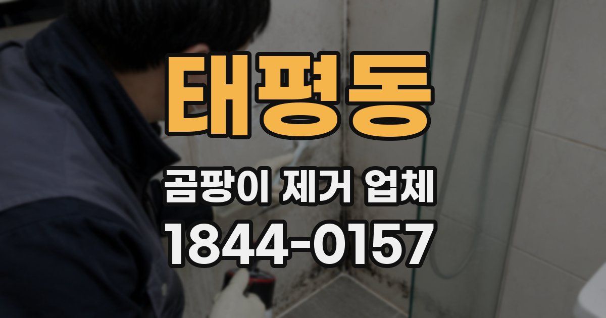 태평동 곰팡이 제거 업체