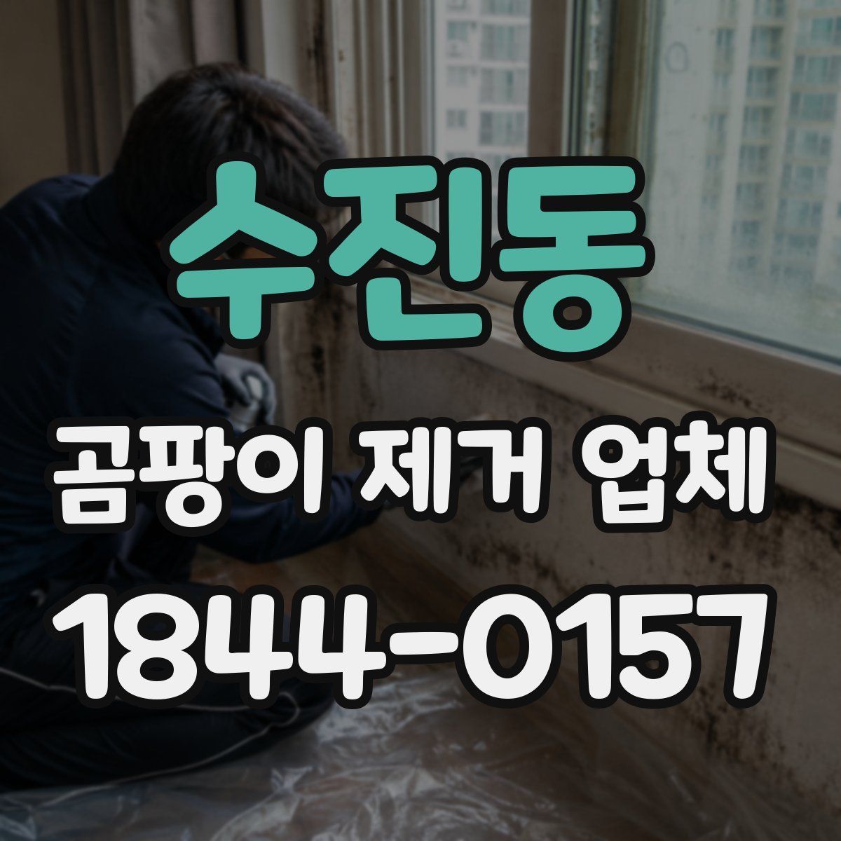 수진동 곰팡이 제거 업체