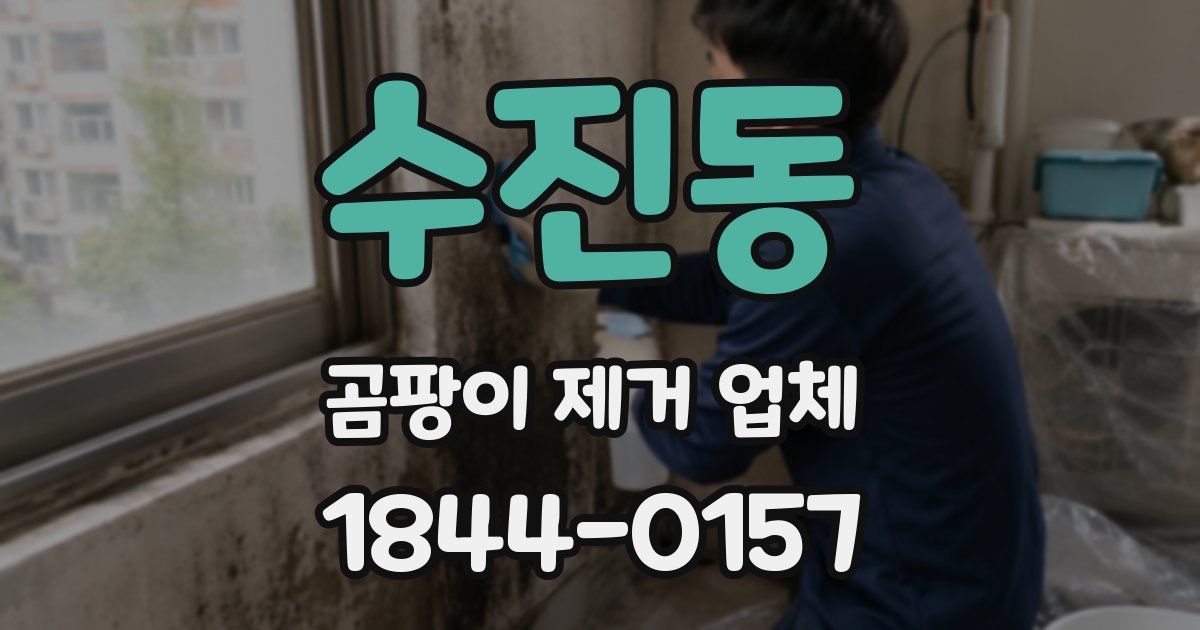 수진동 곰팡이 제거 업체