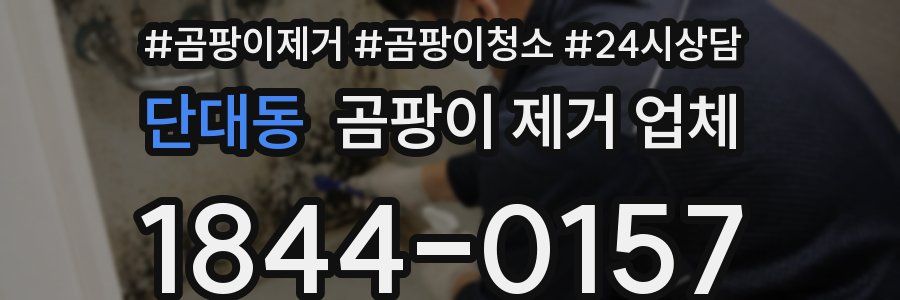 단대동 곰팡이 제거 업체