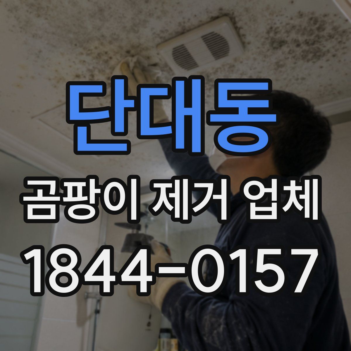 단대동 곰팡이 제거 업체