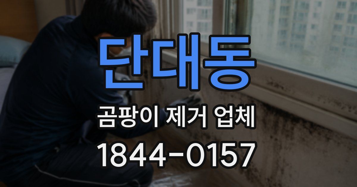 단대동 곰팡이 제거 업체