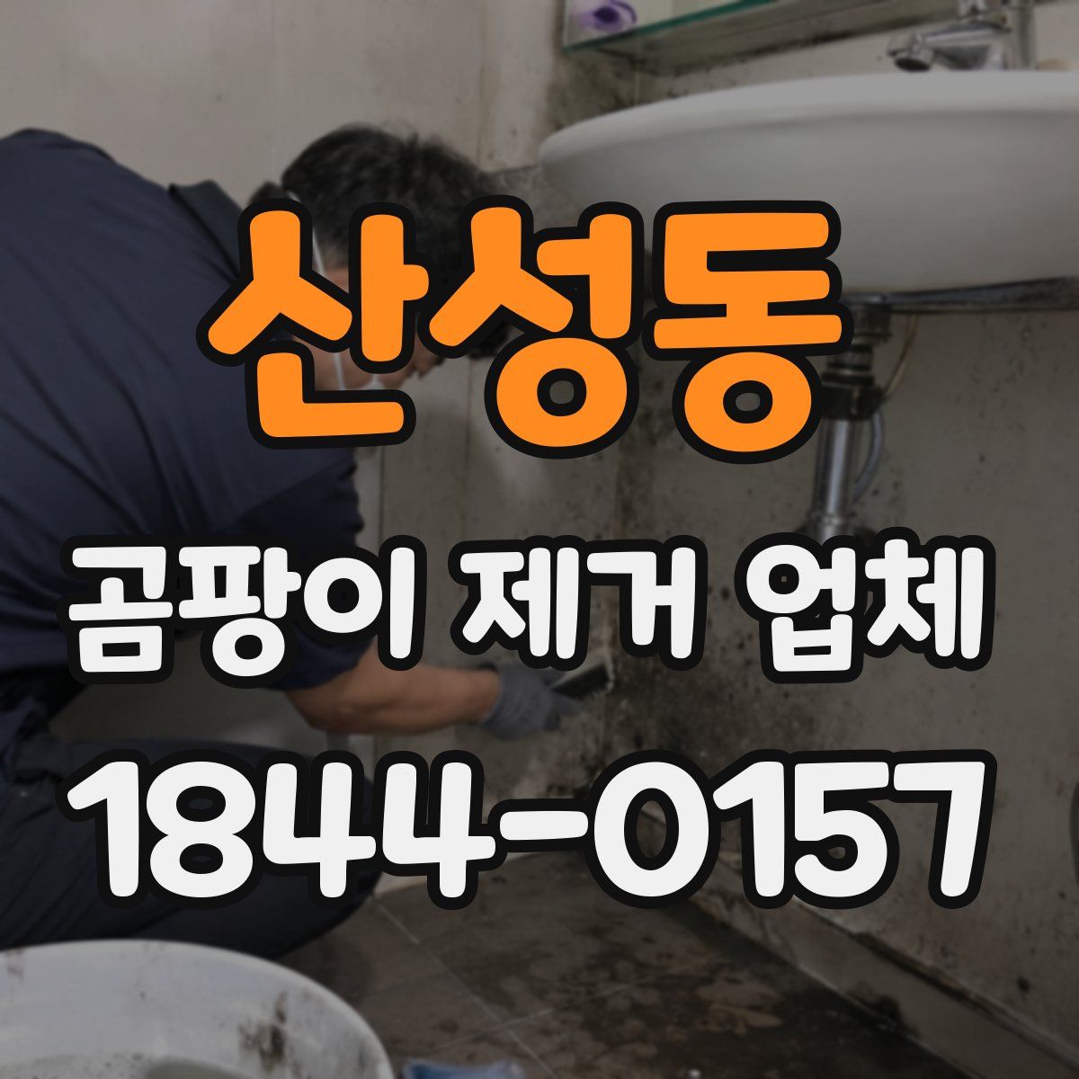 산성동 곰팡이 제거 업체