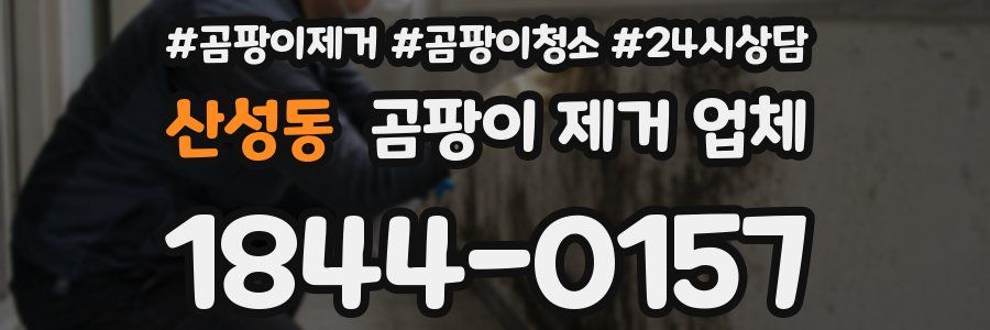산성동 곰팡이 제거 업체