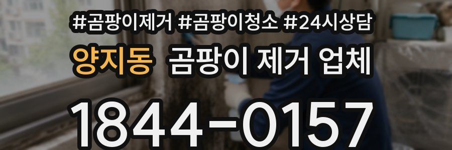 양지동 곰팡이 제거 업체