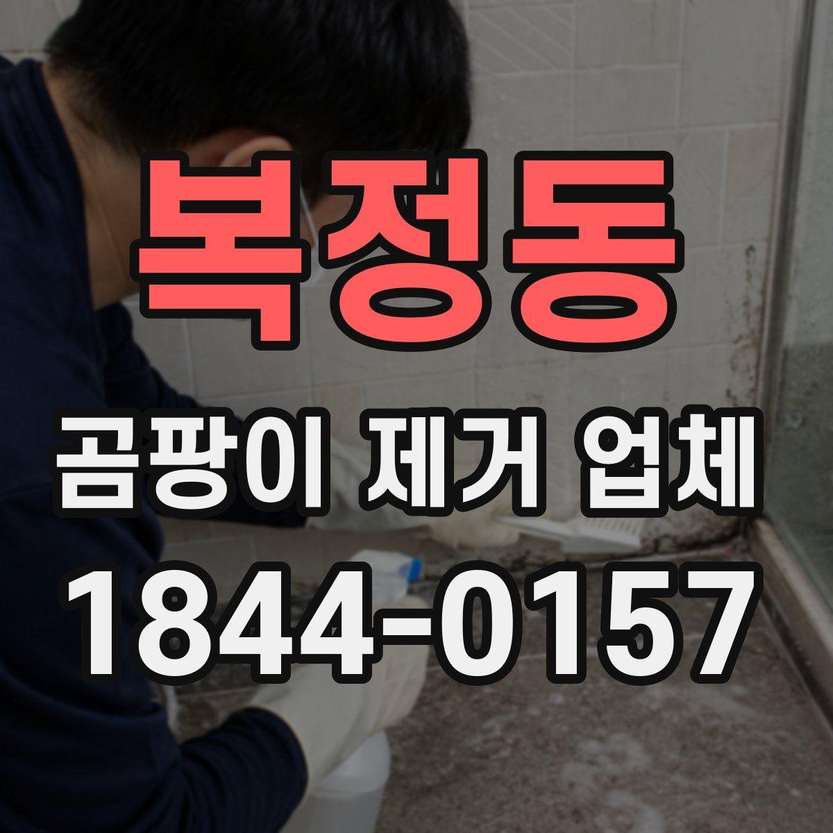복정동 곰팡이 제거 업체