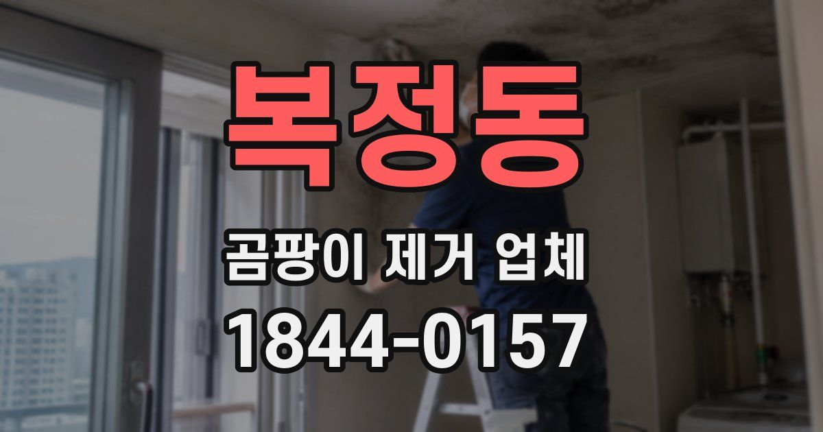 복정동 곰팡이 제거 업체