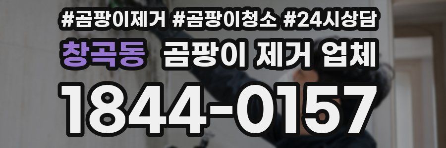 창곡동 곰팡이 제거 업체