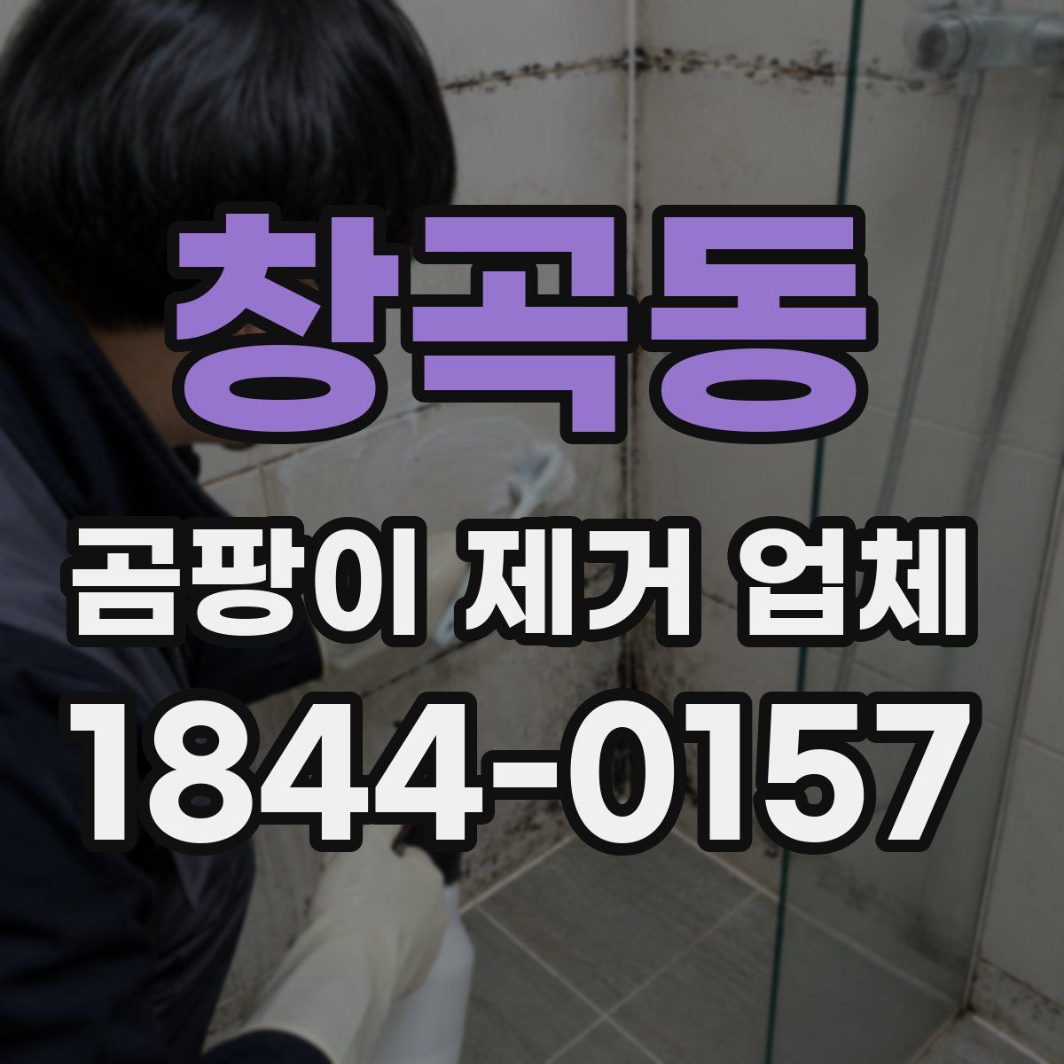 창곡동 곰팡이 제거 업체