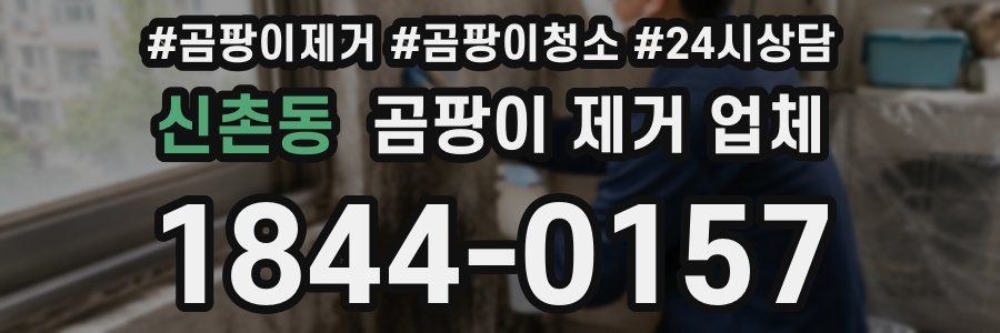 신촌동 곰팡이 제거 업체