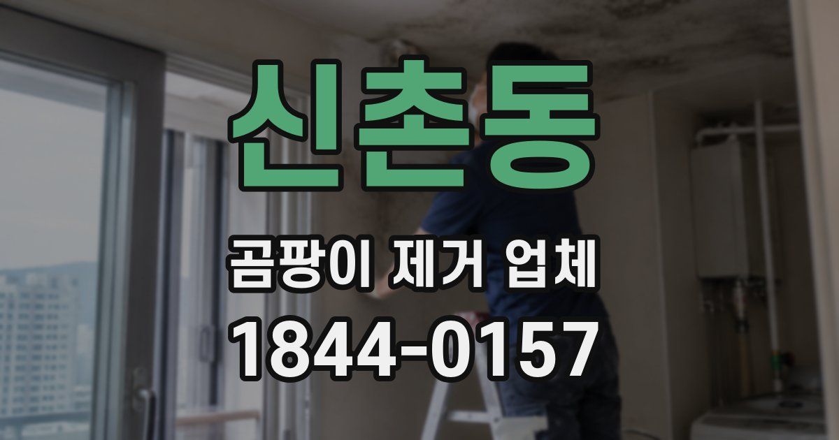 신촌동 곰팡이 제거 업체
