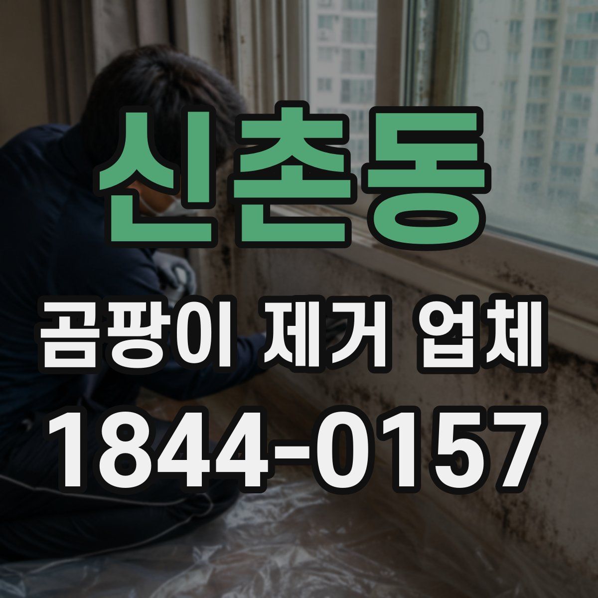 신촌동 곰팡이 제거 업체