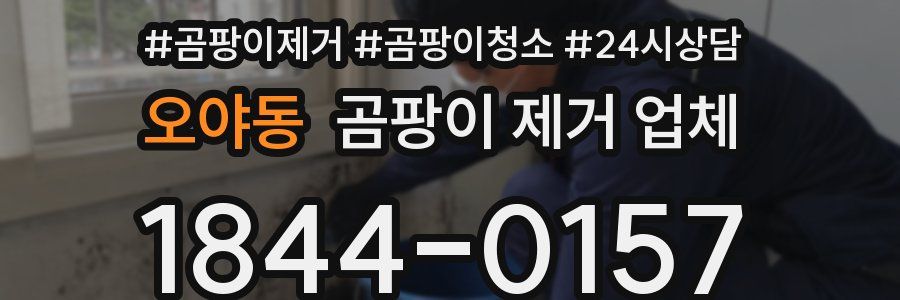 오야동 곰팡이 제거 업체