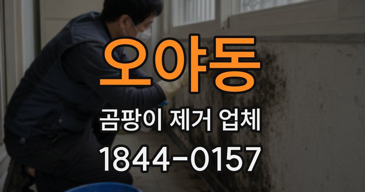 오야동 곰팡이 제거 업체