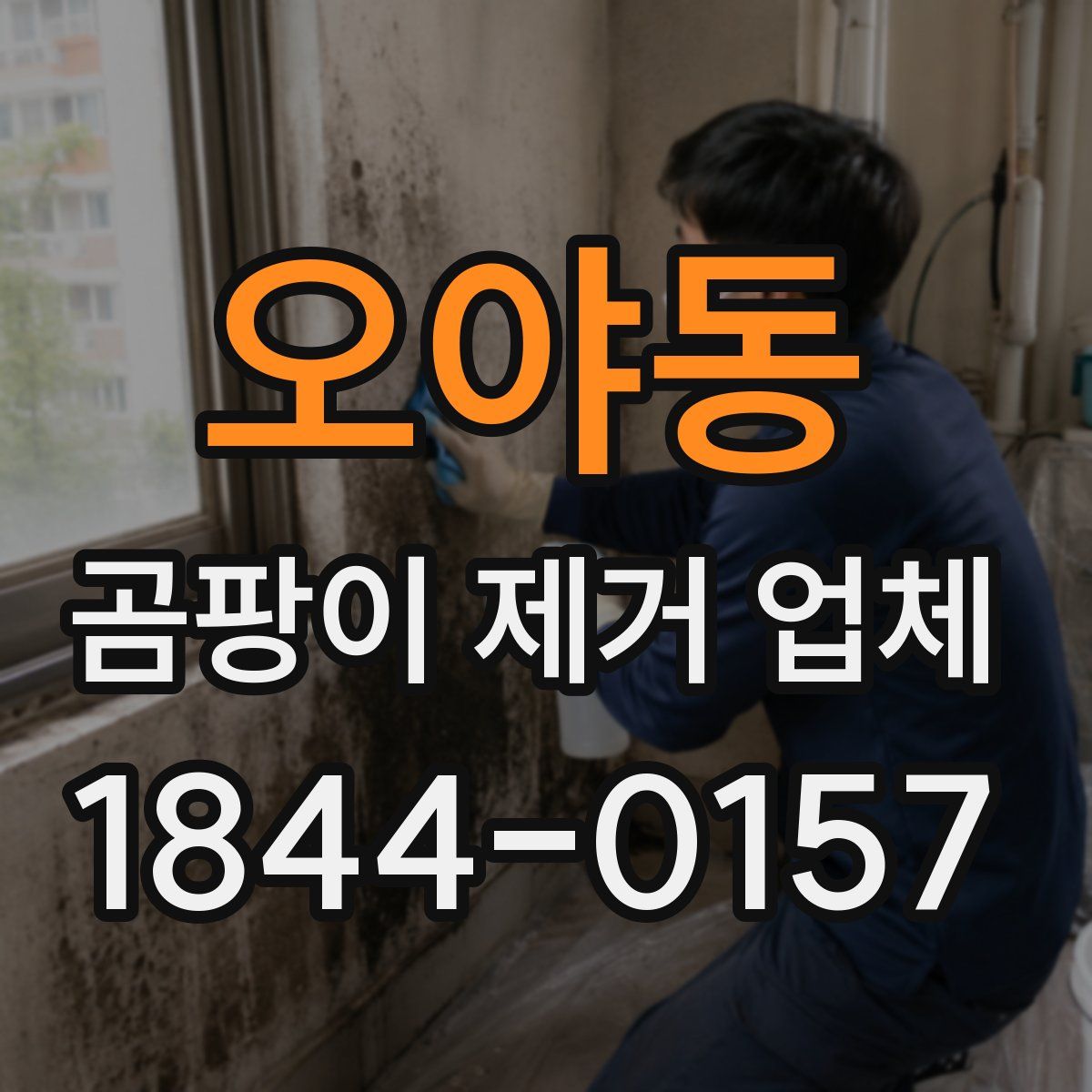 오야동 곰팡이 제거 업체