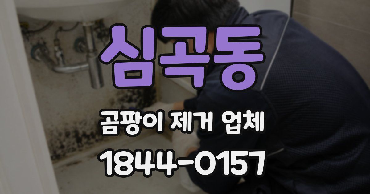 심곡동 곰팡이 제거 업체