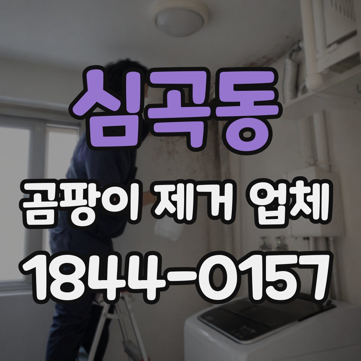 심곡동 곰팡이 제거 업체