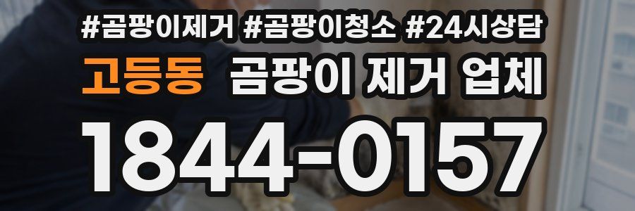고등동 곰팡이 제거 업체
