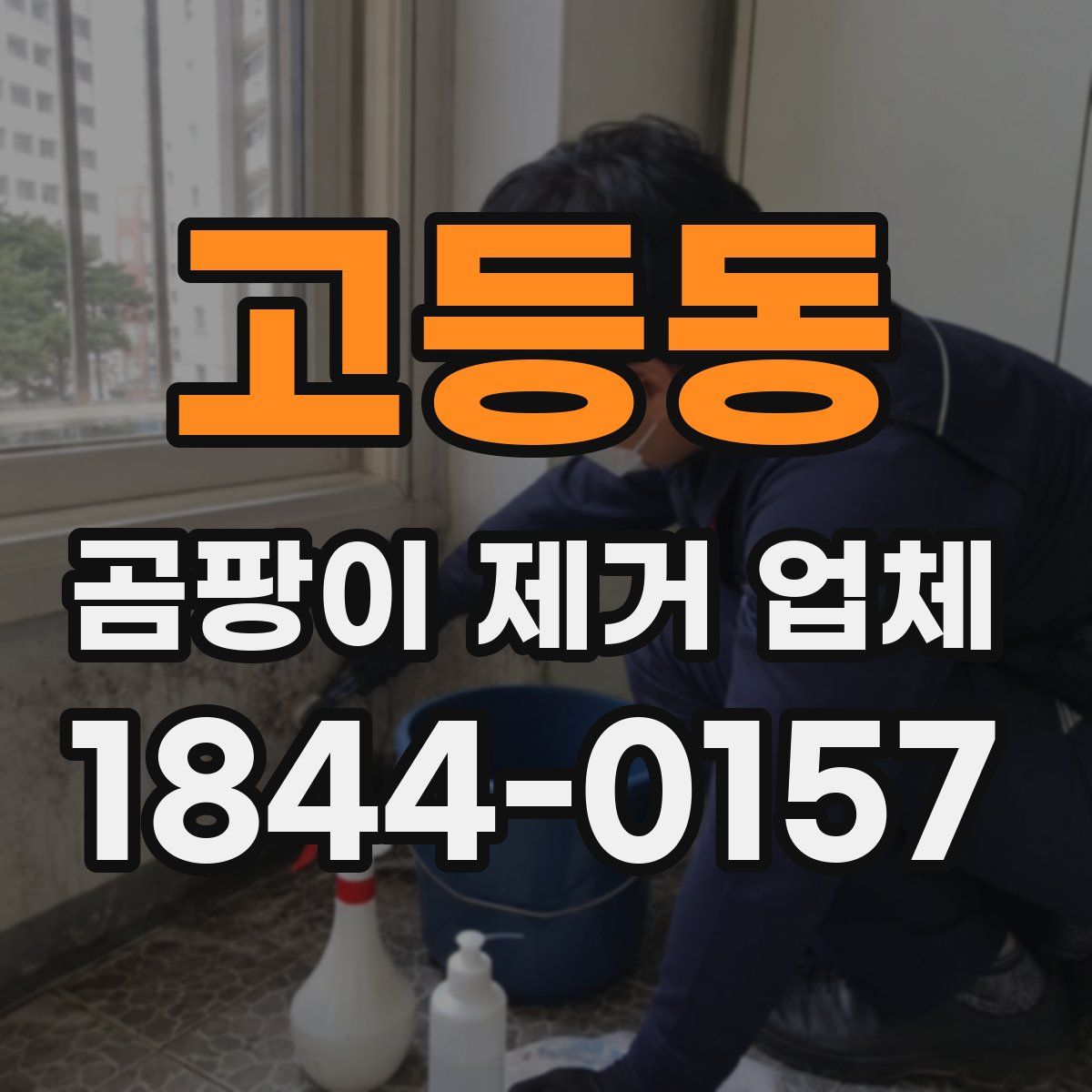 고등동 곰팡이 제거 업체
