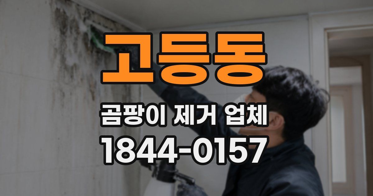 고등동 곰팡이 제거 업체